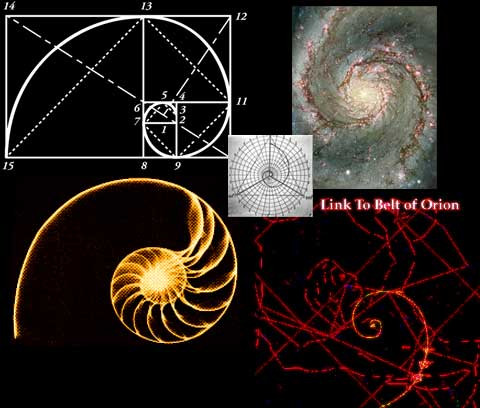 FIBONACCI & SÓNG ELLIOTT: MẬT MÃ CỦA TẠO HÓA VÀ BẢN GIAO HƯỞNG CỦA THỊ TRƯỜNG